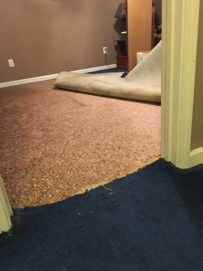 Carpet pad removal revealing water damage during Drying & Dehumidification in Forestbrook