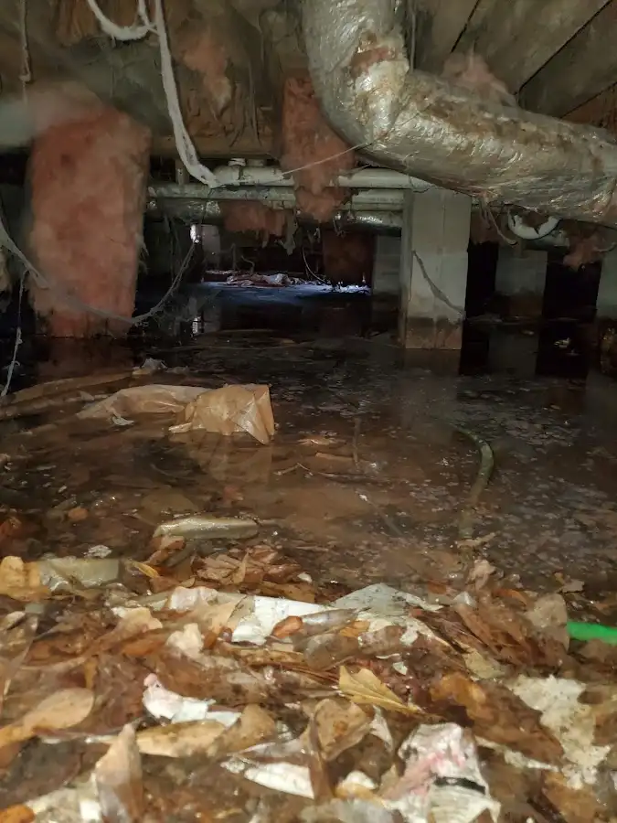 Crawl space flood assessment for Commercial Water Damage Restoration in Forestbrook